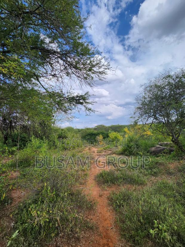 9 Acres for Sale at Sofia