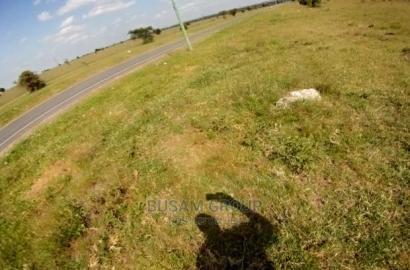 Affordable Plots for Sale