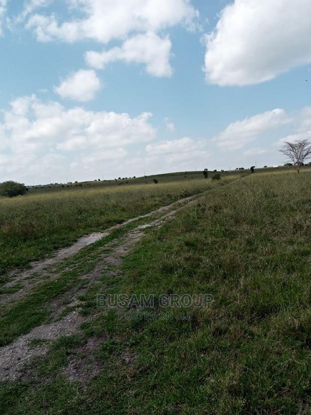 Affordable Plots for Sale