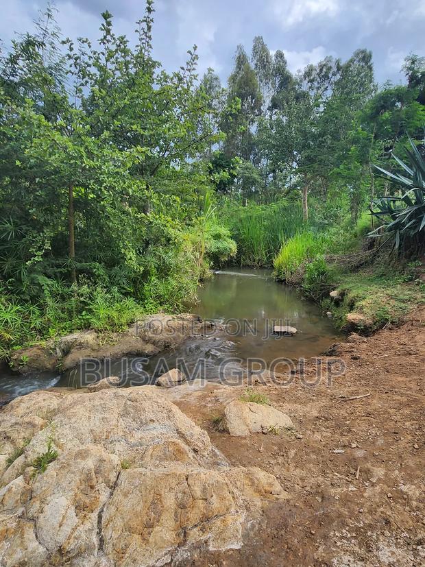 9 Acres for Sale at Sofia
