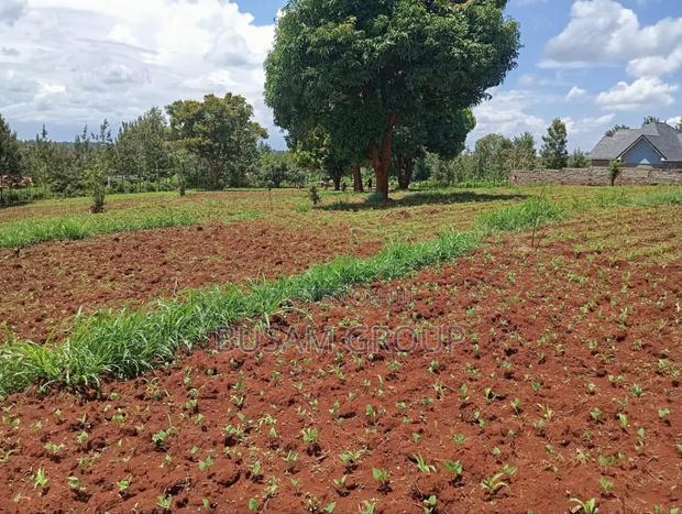 1/8th Acre for Sale at Muranga