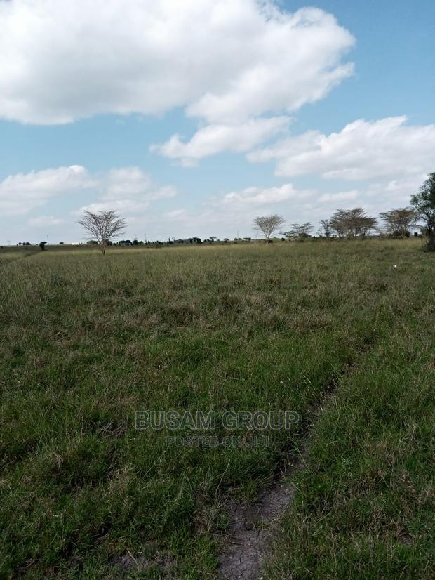Affordable Plots for Sale