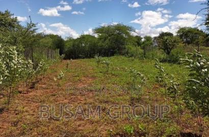 One Acre for Sale at Ndalani