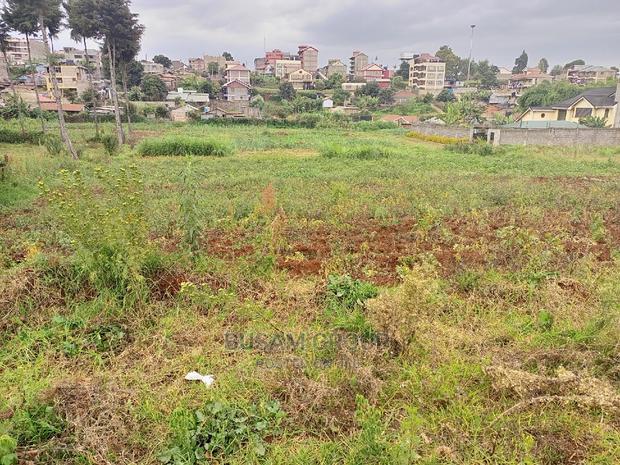Kabuku Plots for Sale