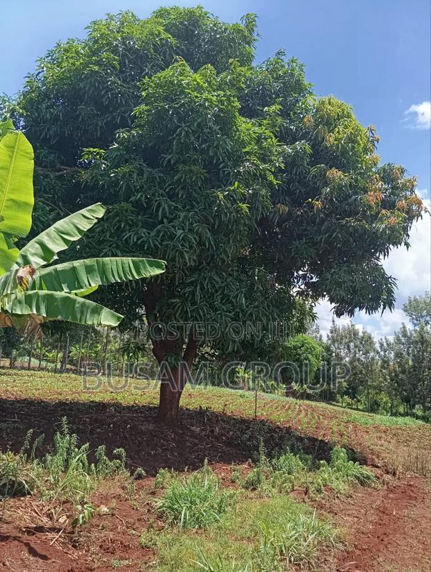 1/8th Acre for Sale at Muranga