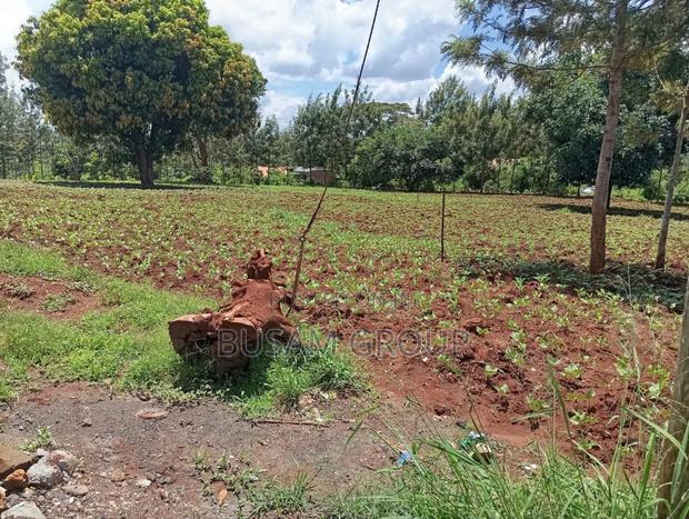 1/8th Acre for Sale at Muranga