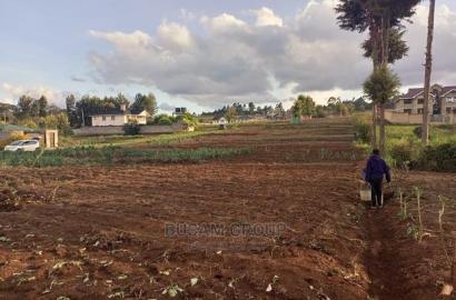 Limuru Kabuku 50 by 100 Plots for Sale With Ready Title