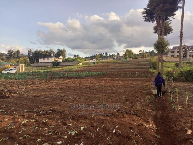 Limuru Kabuku 50 by 100 Plots for Sale With Ready Title