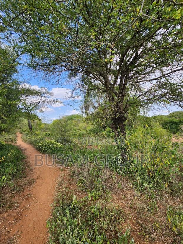 9 Acres for Sale at Sofia
