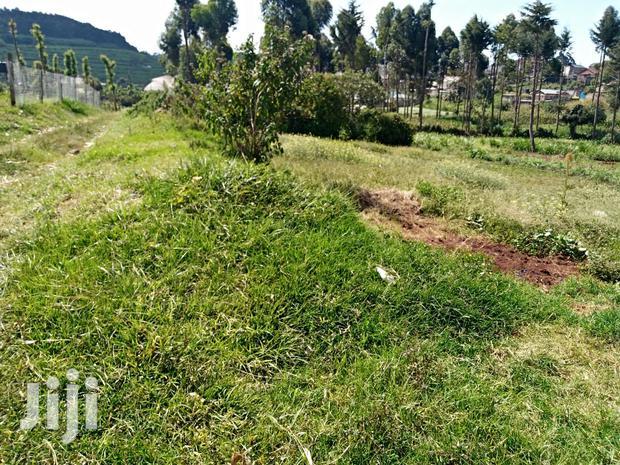 Limuru Kabuku 50 by 100 Plots for Sale