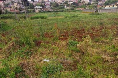 Kabuku Plots for Sale