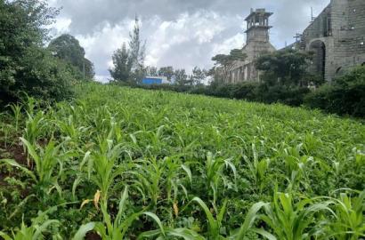 Olkeri Near Karen 3/4 Acre Prime Land for Sale
