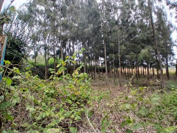 Homely Eighth Acre Plot in Kaurrai, Upper Matasia.Quick Sale