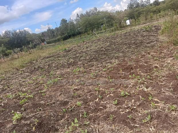 Quick Distress Sale! 1/8 Acre Prime Plots in Merisho Matasia