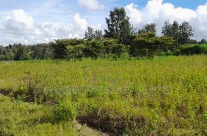 3 Prime Half Acre Plots 200 Metres Off Tarmac in Matasia