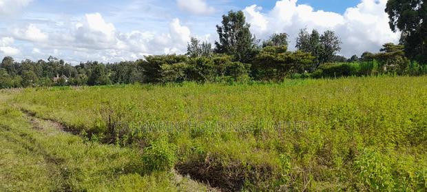 3 Prime Half Acre Plots 200 Metres Off Tarmac in Matasia