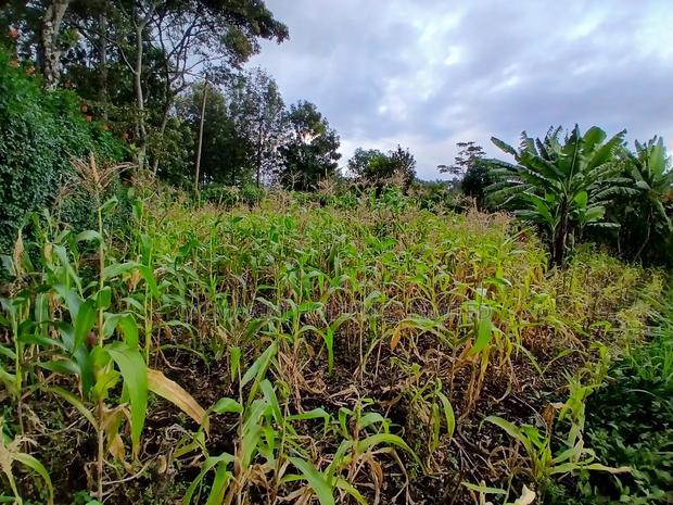 Distress Sale! 100 by 100 Plot in Olkeri, Ngong