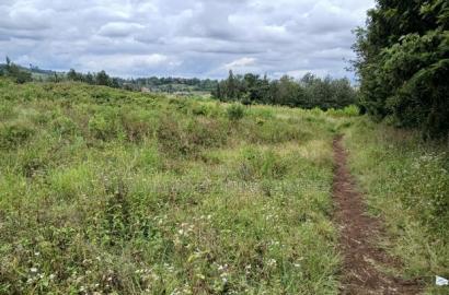 Near Half Acre (0.150ha) Redsoil in Upper Matasia, Kaurrai
