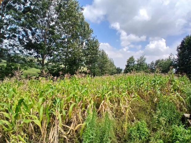 Prime Quarter Acre 150m Off Ngong-Kahara Road- Red Topsoil