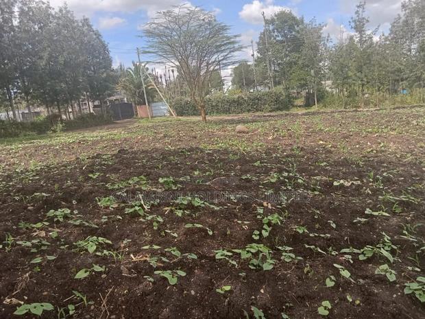 Quick Distress Sale! 1/8 Acre Prime Plots in Merisho Matasia