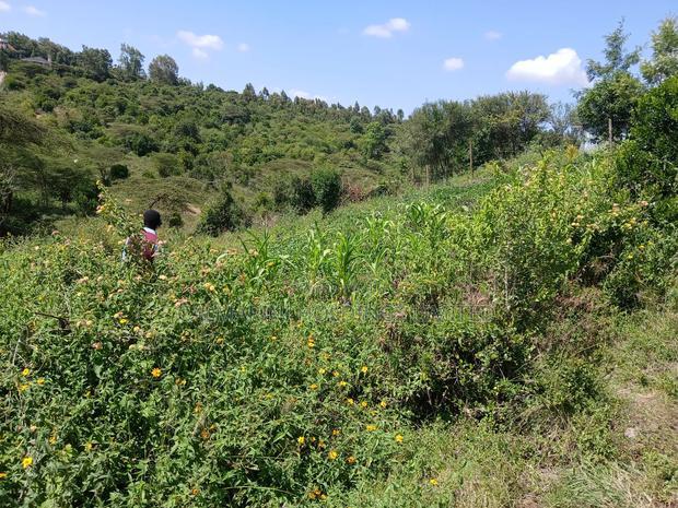 Prime Eighth Acre 400 Metres Off Tarmac in Matasia