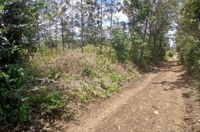 Distressed! A Full Eighth Acre in Kaurrai, Upper Matasia