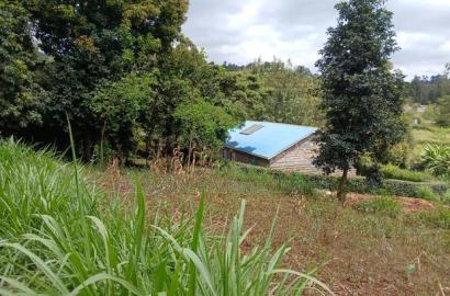 Prime Redsoil Acre Land With 3 BDM Bungalow in Upper Matasia