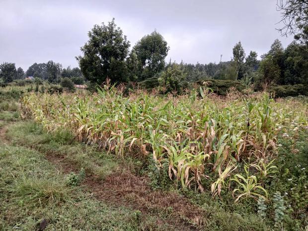 Quick Distress Sale! 100 by 100 Plot in Kahara, Ngong
