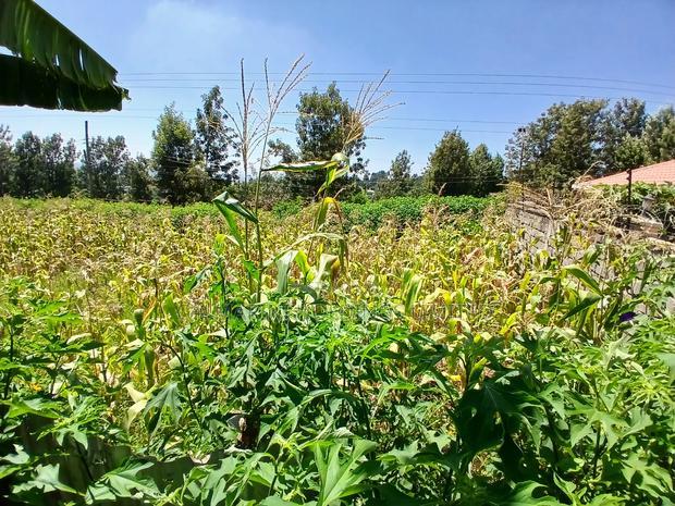 Prime Redsoil 50 by 100 Plot in a Gated Community in Matasia
