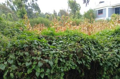 Prime Redsoil Eighth Acre Plots Off Lemiso Road, Ngong Town