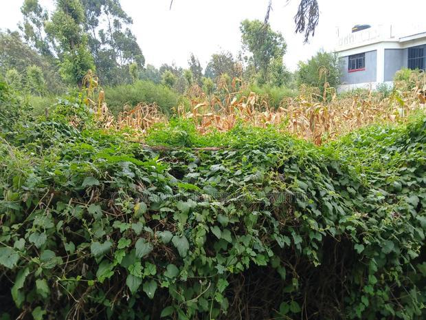 Prime Redsoil Eighth Acre Plots Off Lemiso Road, Ngong Town