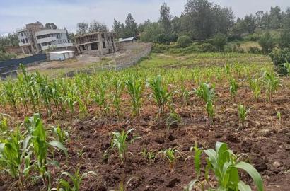 Distress Sale! Prime Acre Land for Sale in Matasia