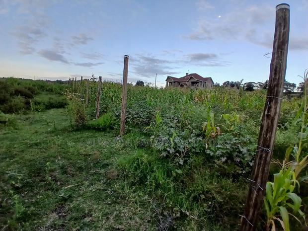 Prime 100 by 100 Plot in Upper Matasia Gated Neighborhood