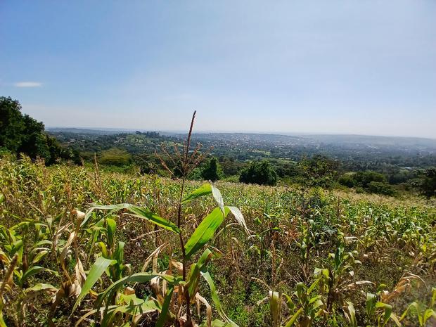 Distress Sale! Prime Redsoil Acre 200 MTRS Off Tarmac, Ngong