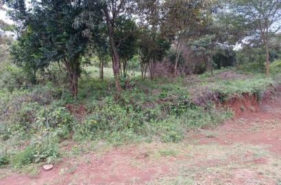 Prime Redsoil Half Acre Plot at Karen View, Matasia