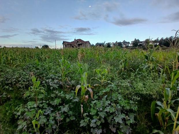 Prime 100 by 100 Plot in Upper Matasia Gated Neighborhood