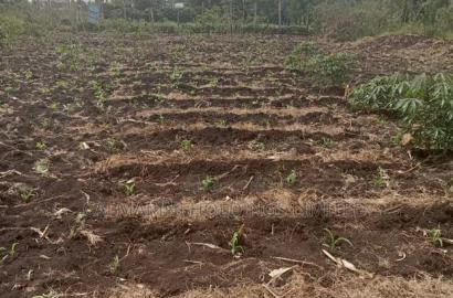 Prime Eighth Acre Plots in Merisho, Matasia