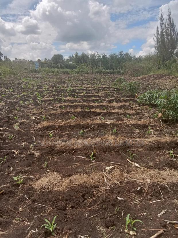 Prime Eighth Acre Plots in Merisho, Matasia