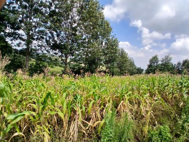 Prime Quarter Acre 150m Off Ngong-Kahara Road- Red Topsoil