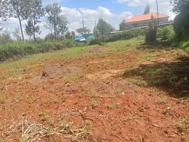 Distress! 100 by 100 Redsoil Plot in Matasia