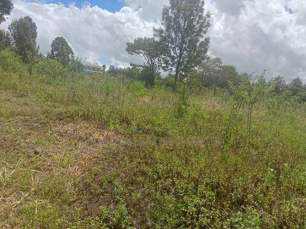 3 Prime Half Acre Plots 200 Metres Off Tarmac in Matasia