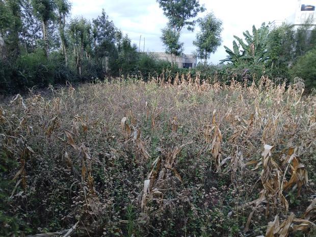 Lemiso Road, Ngong Eighth Plot for Sale
