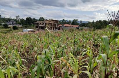 Prime Quarter Acre (100by100) for Sale in Olkeri, Forestline