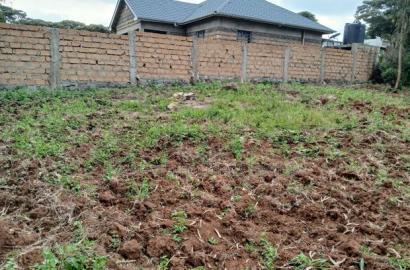Redsoil Prime Eighth Acre Plot in Matasia