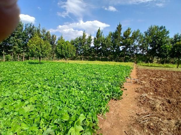 Prime 50 by 100 Plots in Kimuka, Ngong 100 Metres Off Tarmac