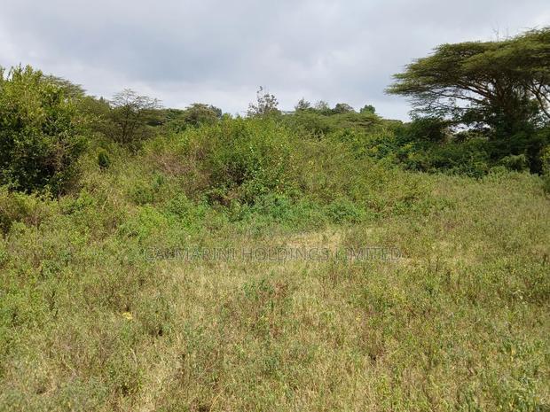 Lipa Polepole Eighth Acre Plot in Lower Merisho,Matasia