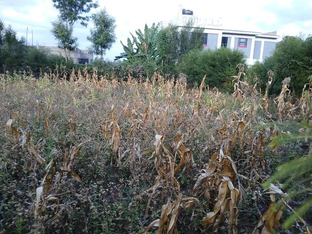 Lemiso Road, Ngong Eighth Plot for Sale