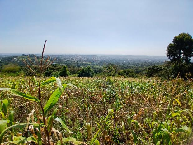 Distress Sale! Prime Redsoil Acre 200 MTRS Off Tarmac, Ngong