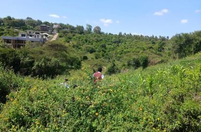 Prime Eighth Acre 400 Metres Off Tarmac in Matasia