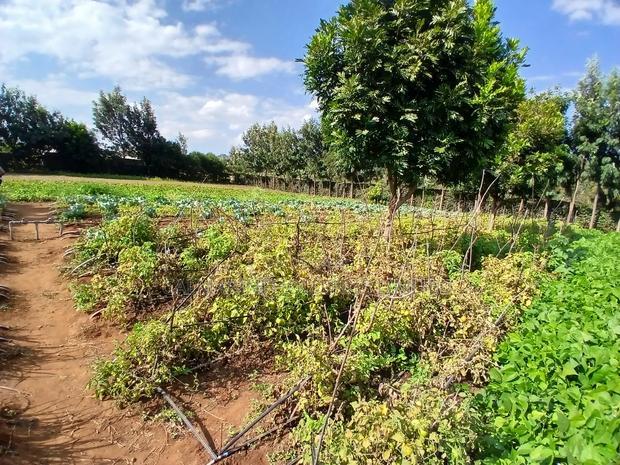 Prime 50 by 100 Plots in Kimuka, Ngong 100 Metres Off Tarmac